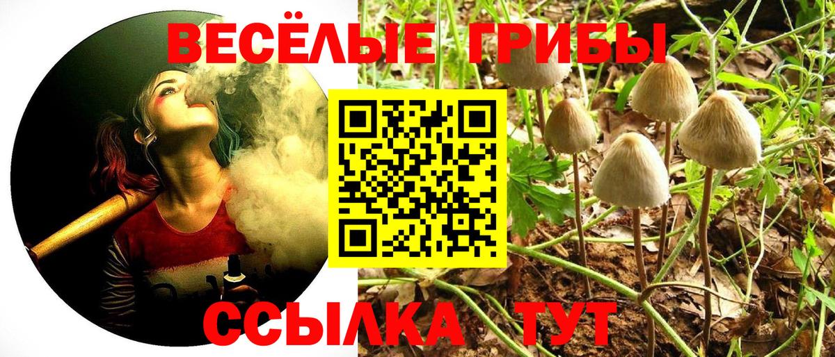 Псилоцибиновые грибы Magic Shrooms  Галлюциногенные грибы Psilocybine cubensis  Сосновый Бор  Вход с VPN 